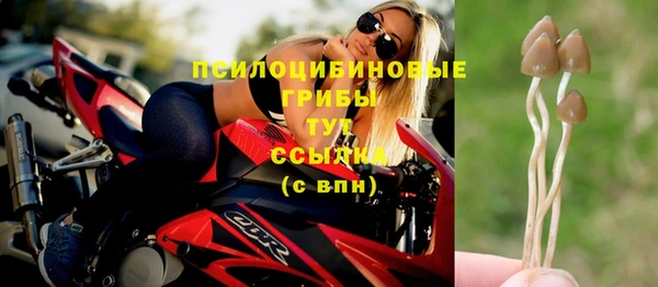 прущая мука Козловка
