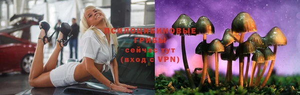 марки lsd Козельск