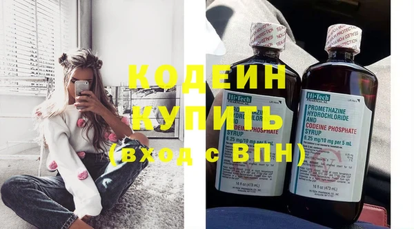 трава Кодинск