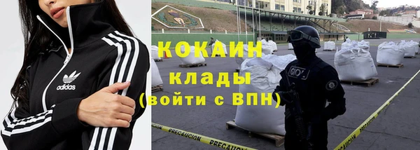 трава Кодинск
